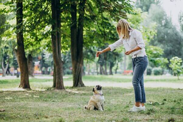 Woman having walk in park with her dog