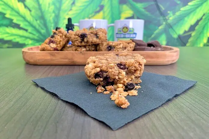 Delicious Hemp Energy Granola Bites are the perfect healthy snack for your next meeting at the best Vegan Restaurants in Fort Myers