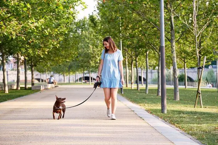 Young beautiful young brunette cheerful girl in blue dress walks with her dog in a Gateway Dog Park 